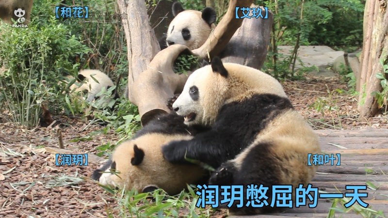 潤玥：憋屈的一天