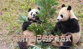潤玥有自己的護食方式