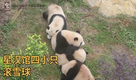 四小只滾雪球