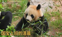 上班的清晨