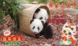 2025蛇年大吉